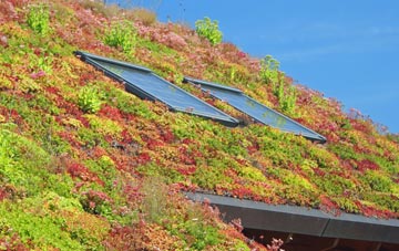 Auchenreoch living roof systems